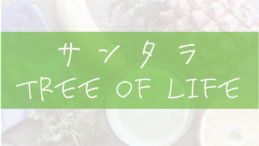Tree of Life Acoustic vol.1 / Interview サンタラ田村キョウコと砂田和俊、Tree of Lifeの仲里園子と山口蝶子姉妹
